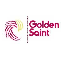 Golden Saint Resources Ltd