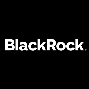 Black Rock investment trust