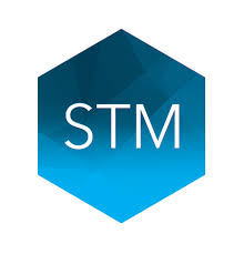 STM Group