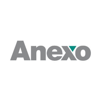 Anexo Group plc