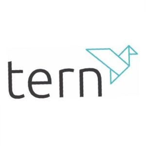 Tern plc