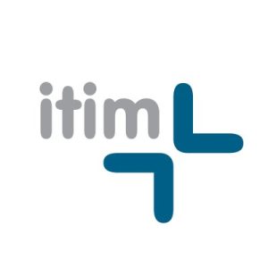 itim Group plc